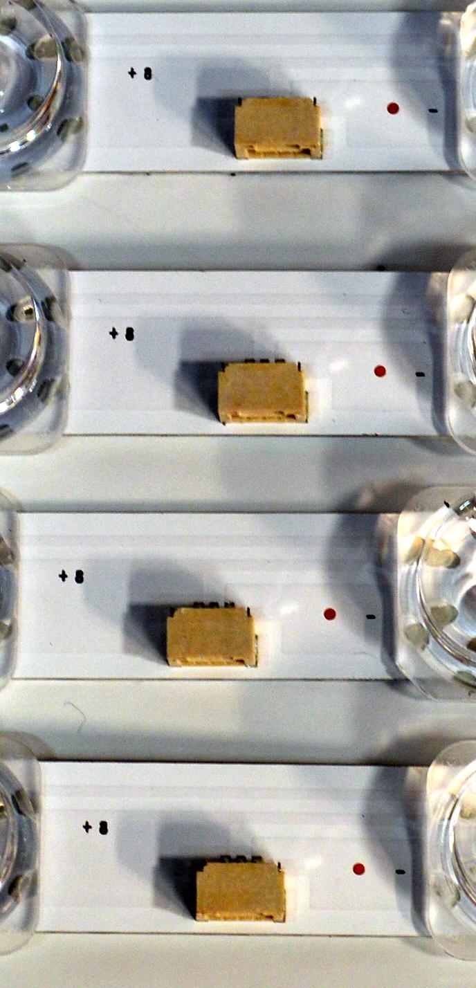 KIT DE LEDS ORIGINAL PARA TV TCL 4 PIEZAS / NUMERO DE PARTE 65HR332M13N01 / 65HR332M13N01 V0 / 65S11 PRO KSF / N0101-000652-A00 / LL2B08U0B / PANEL LVU650NDAL / DISPLAY JR645R3HA3L / MODELO 65Q51K - Imagen 4